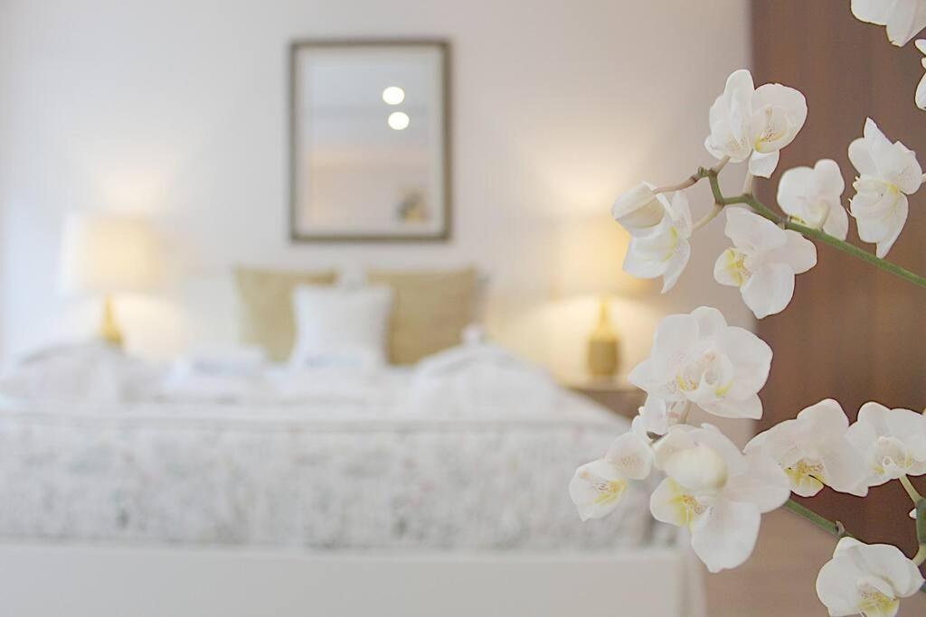 Oliveiras Charming Apartment Downtown ポルト エクステリア 写真